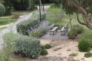 Photos - vacances avec bébé