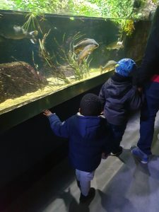 L'aquarium de Paris avec l'expo Oggy et les cafards