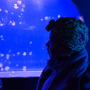 L'aquarium de Paris avec l'expo Oggy et les cafards