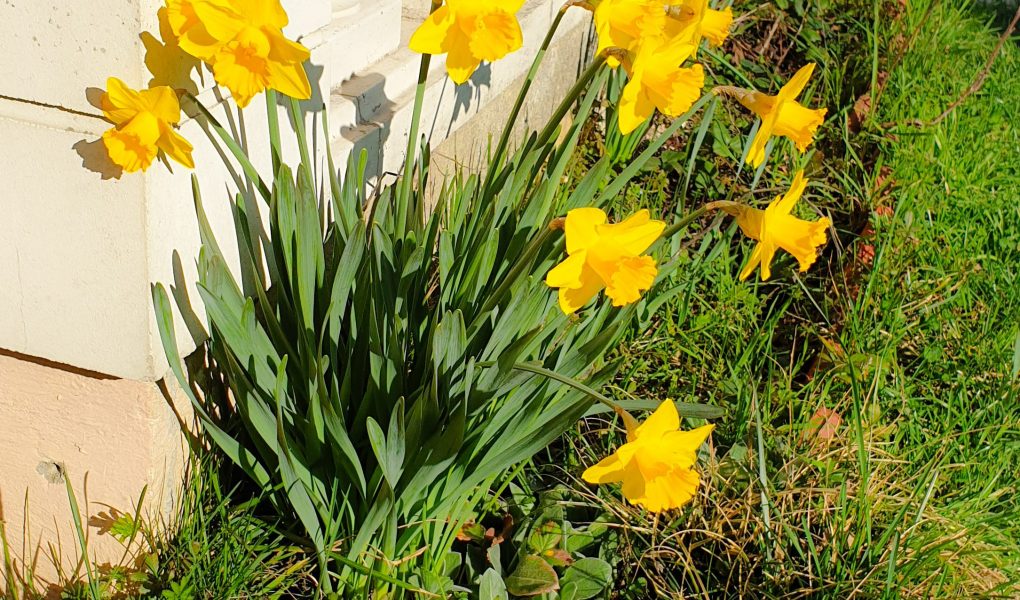 citations sur les mamans