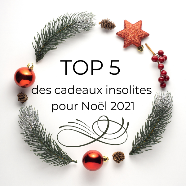 TOP 5 des cadeaux insolites pour Noël 2021